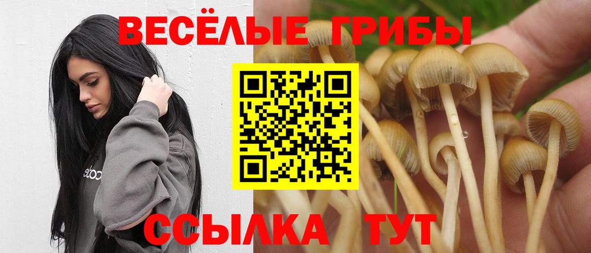 Галлюциногенные грибы Psilocybe  Галлюциногенные грибы GOLDEN TEACHER  Вход с VPN  купить  сайты  Волгодонск 